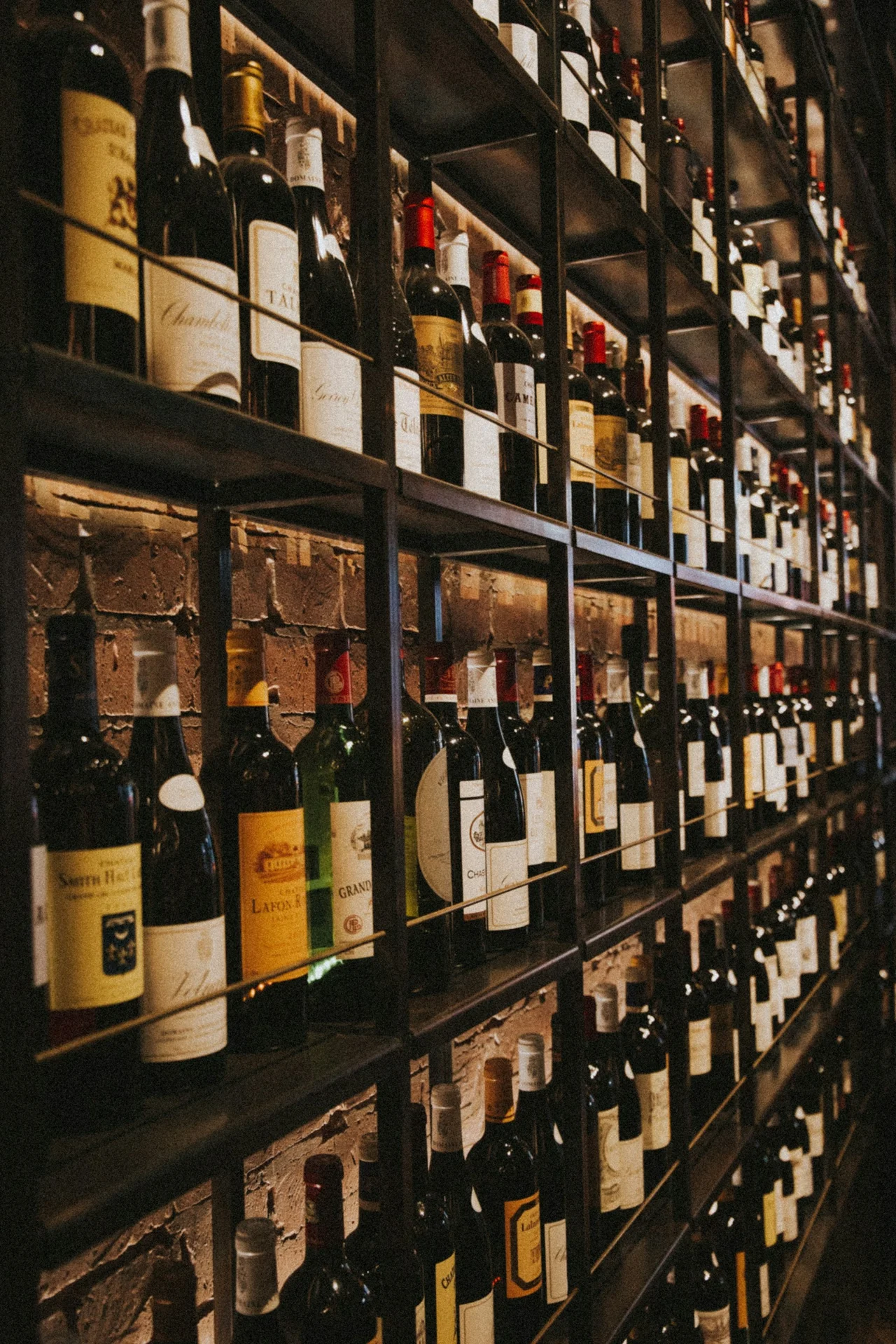 A carefully arranged collection of wine bottles